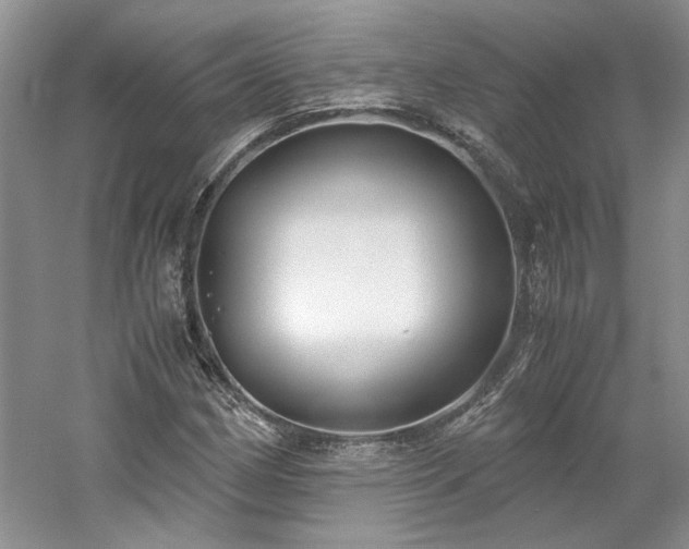 X0000061721162200512021331