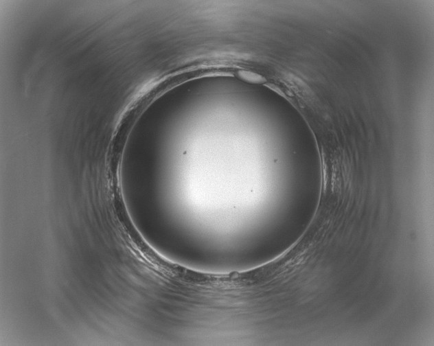X0000061721164200512021331