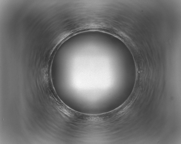 X0000061721170200512021331