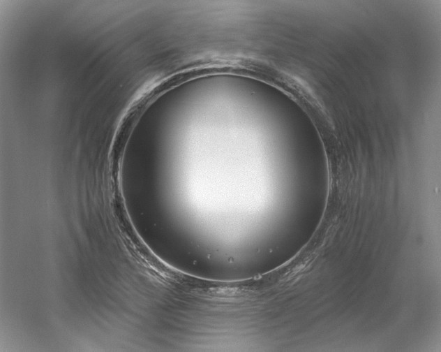 X0000061721172200512021331
