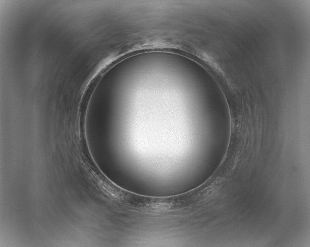 X0000061721173200512021331