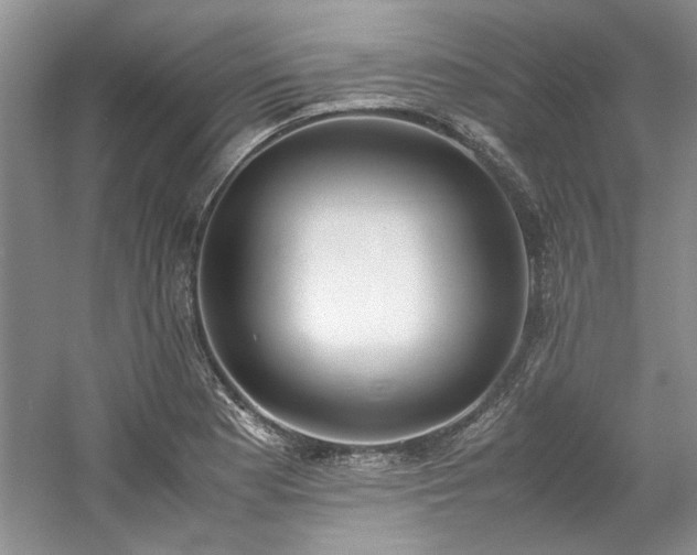 X0000061721177200512021331