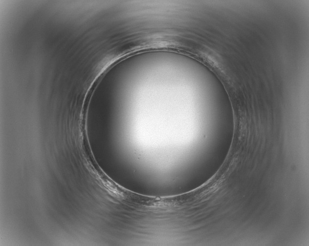 X0000061721178200512021331