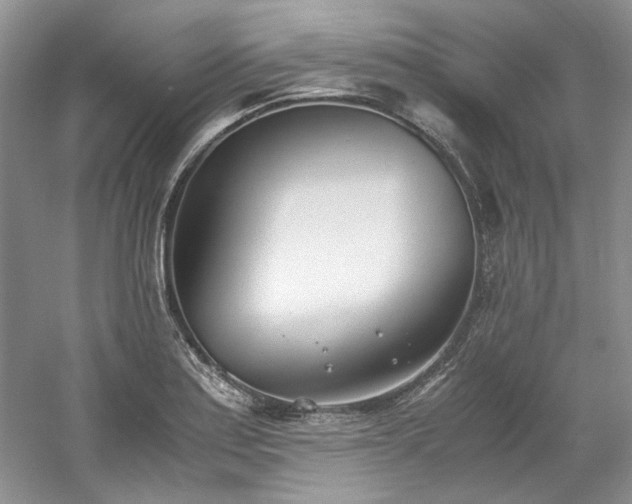 X0000061721179200512021331