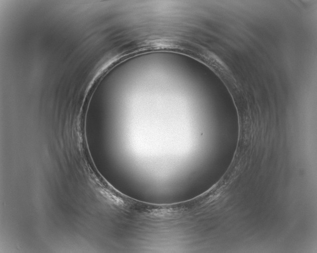 X0000061721182200512021331