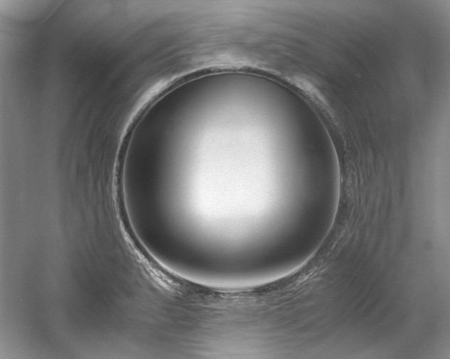 X0000061721183200512021331