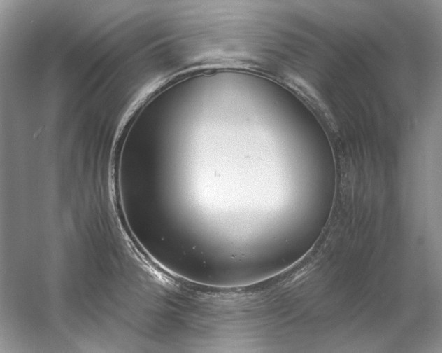 X0000061721188200512021331
