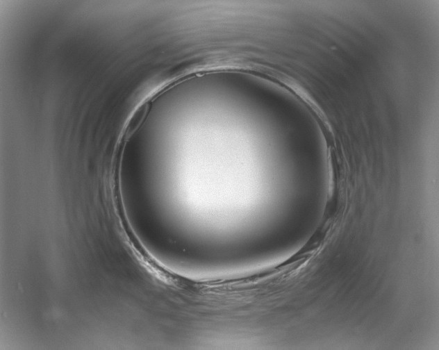 X0000061721197200512021330