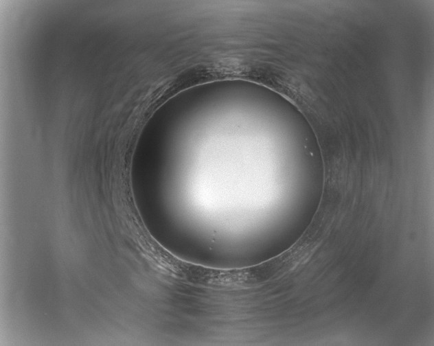 X0000061721201200512021329