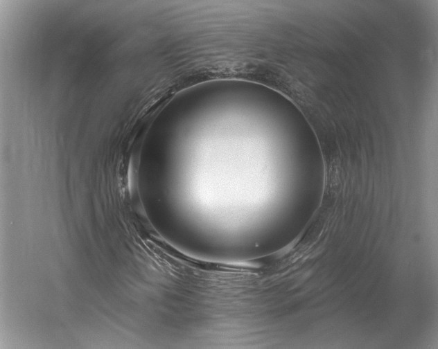 X0000061721202200512021329
