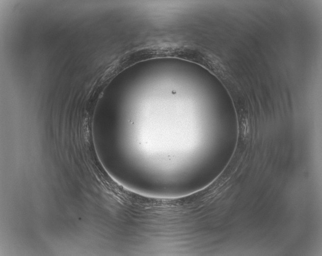 X0000061721204200512021330