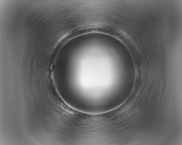 X0000061721210200512021330