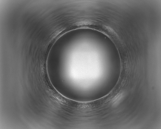 X0000061721217200512021330