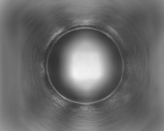X0000061721218200512021330