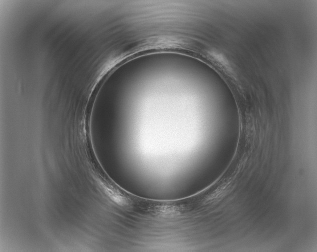 X0000061721226200512021330
