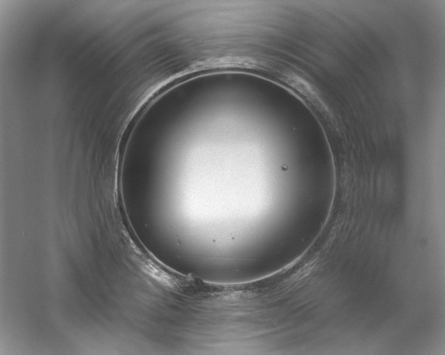 X0000061721228200512021330