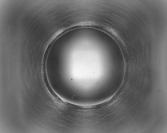 X0000061721229200512021330