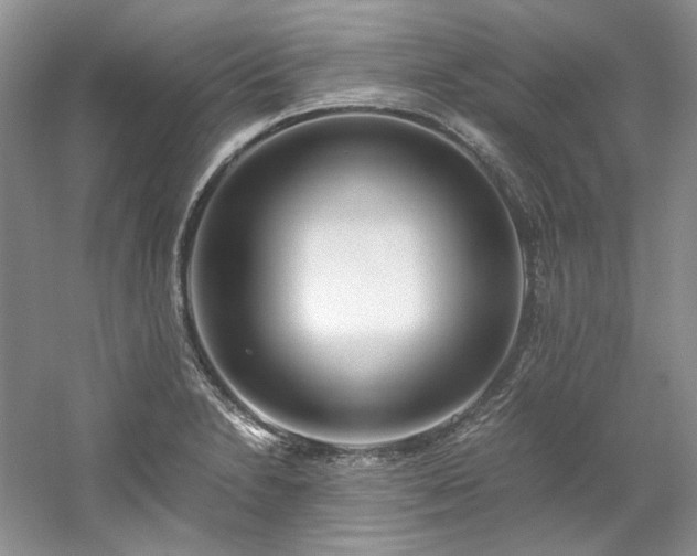 X0000061721230200512021330