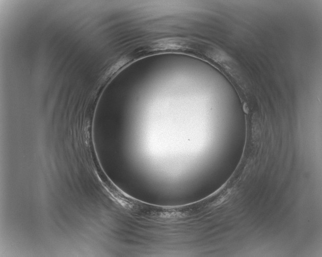 X0000061721233200512021330