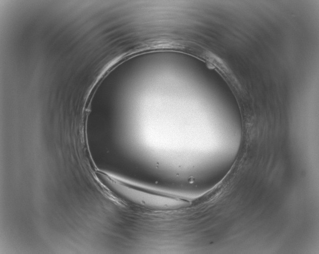 X0000061721236200512021330