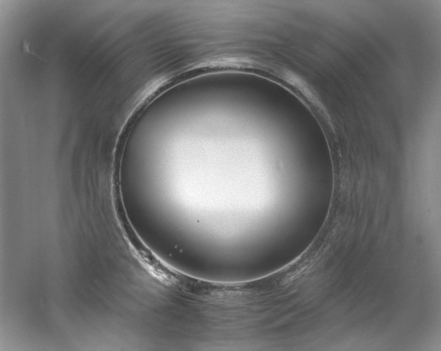 X0000061721237200512021330