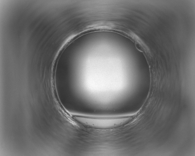 X0000061721240200512021330