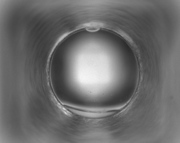 X0000061721248200512021330