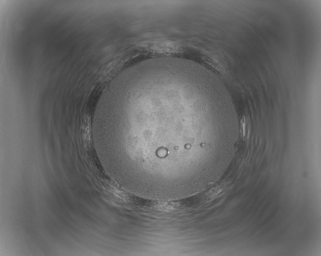 X0000061721251200512021329
