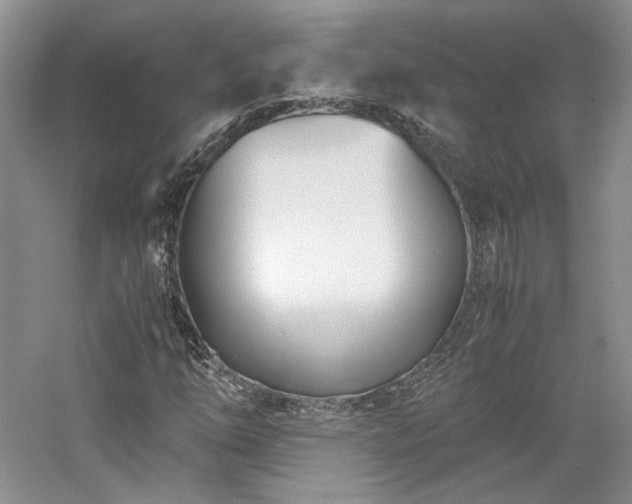 X0000061721254200512021329