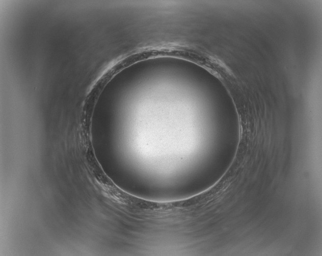 X0000061721256200512021329