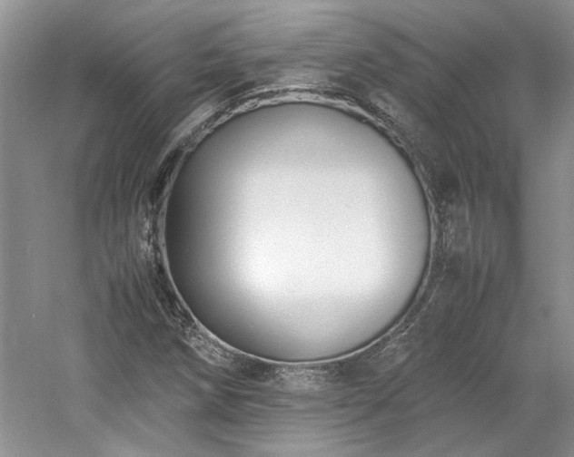 X0000061721258200512021329