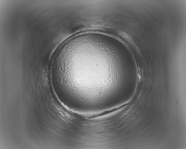 X0000061721260200512021329