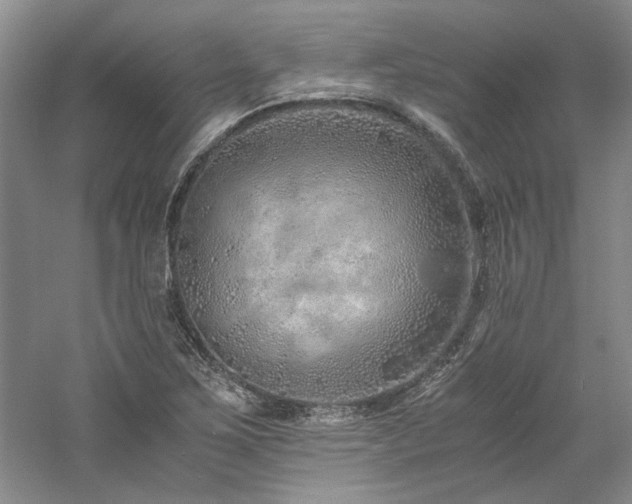 X0000061721267200512021329