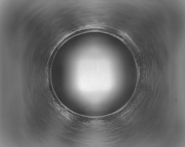 X0000061721268200512021329