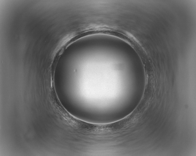 X0000061721269200512021329