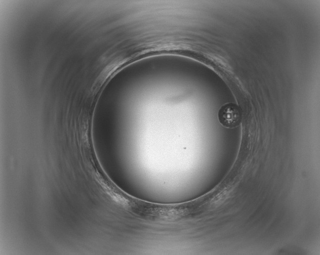 X0000061721273200512021329