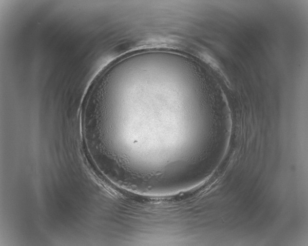 X0000061721275200512021329