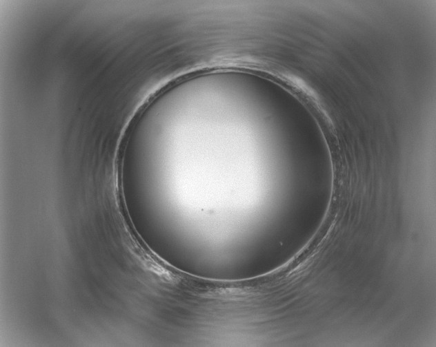 X0000061721280200512021329