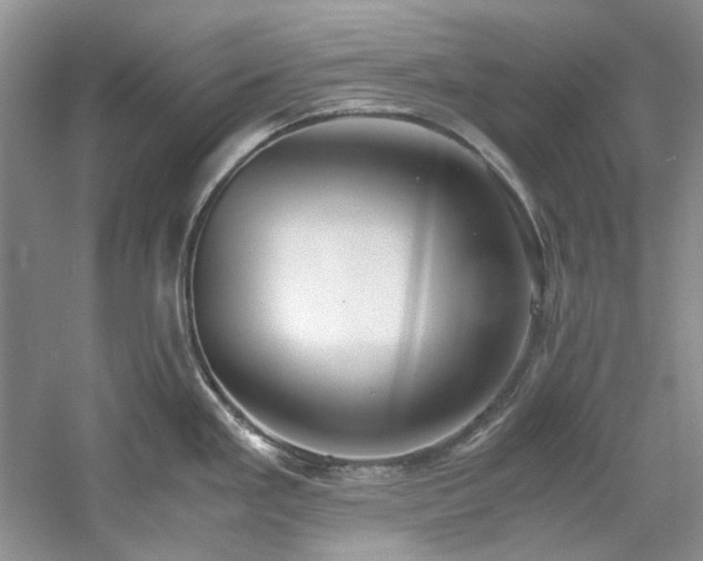 X0000061721293200512021329