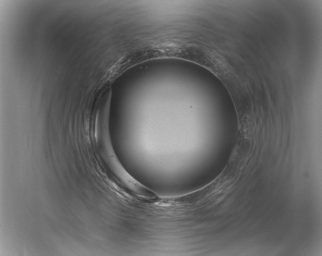X0000061721298200512021328