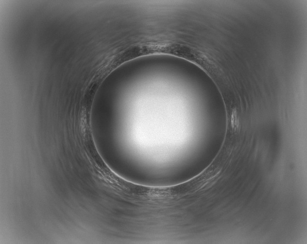 X0000061721299200512021328