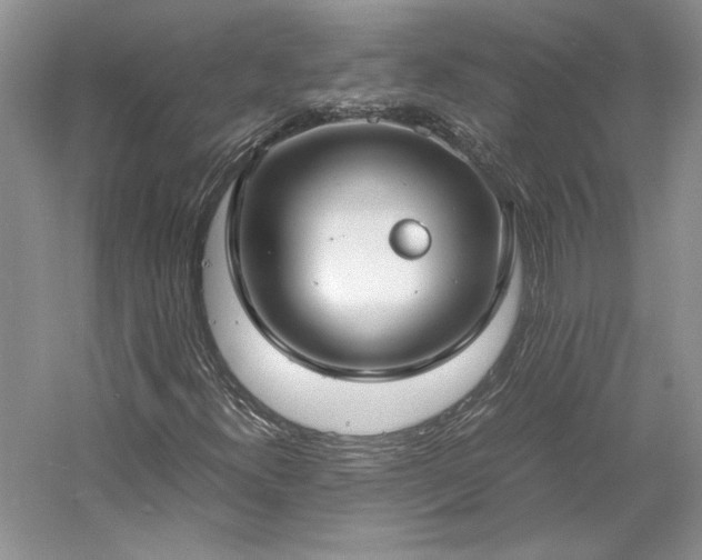 X0000061721300200512021328