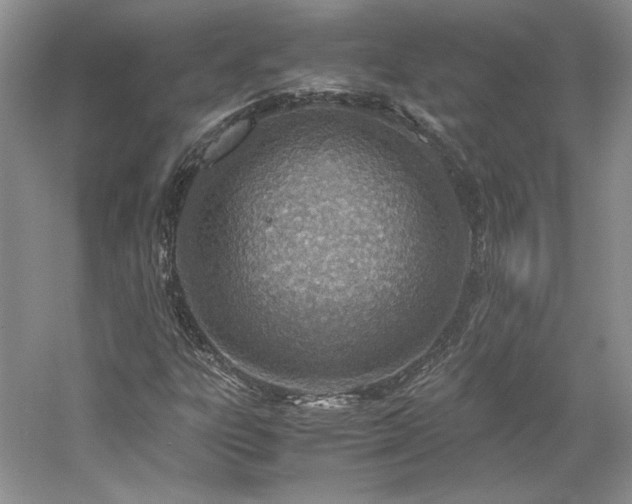 X0000061721303200512021328