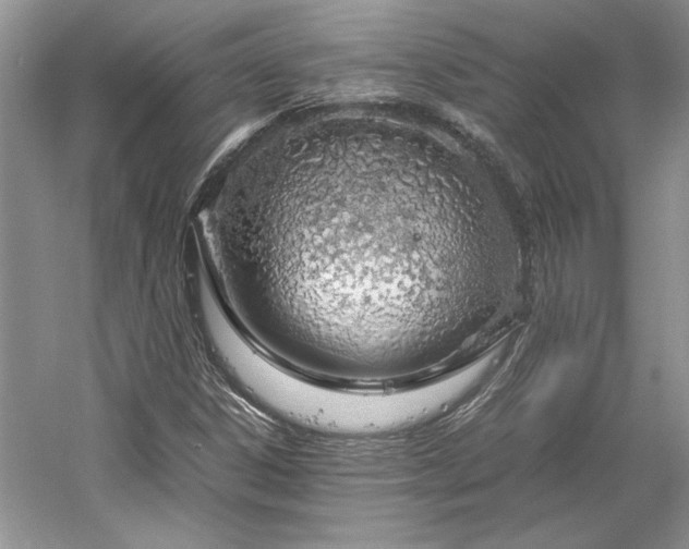X0000061721306200512021328