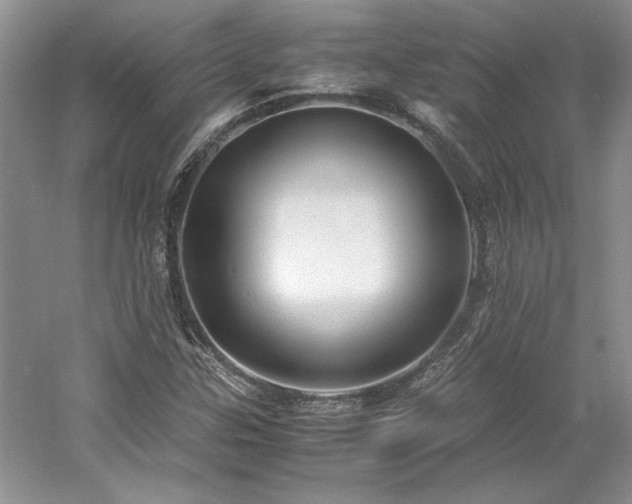 X0000061721307200512021328