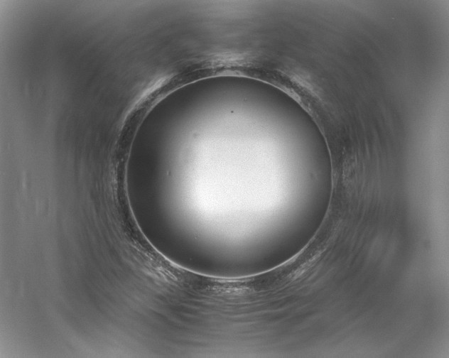 X0000061721309200512021328
