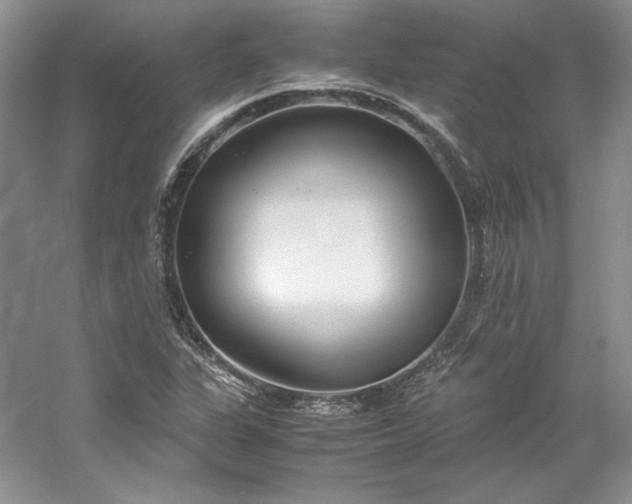 X0000061721311200512021328