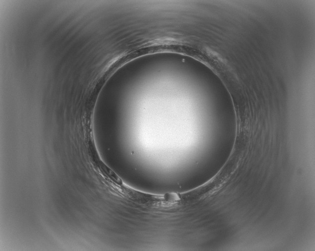 X0000061721313200512021328