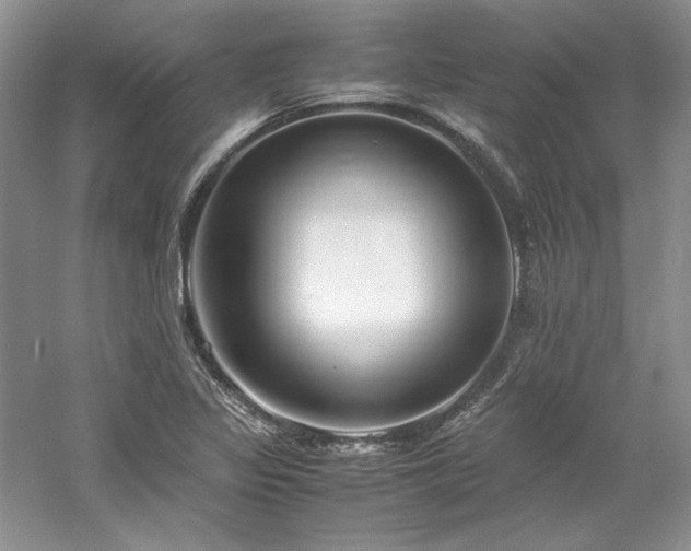 X0000061721317200512021328