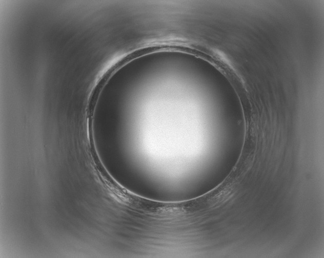 X0000061721320200512021328